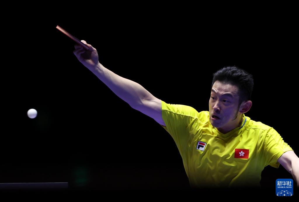 这意味着 这意味着