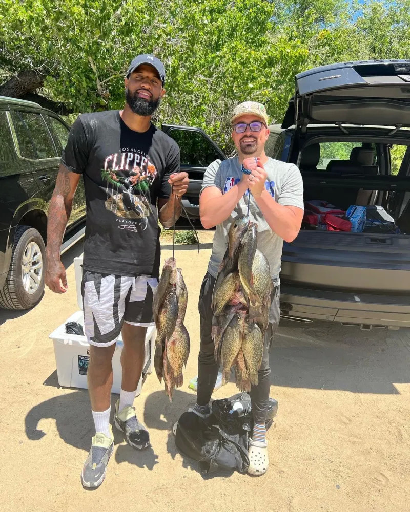 向我们展示 向我们展示